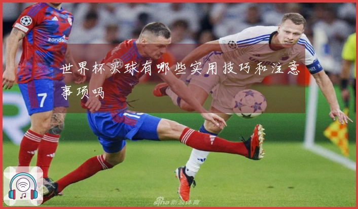 世界杯买球有哪些实用技巧和注意事项吗