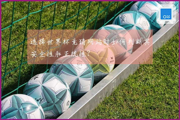 选择世界杯竞猜网站时如何判断其安全性和正规性？